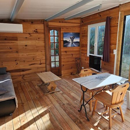 Chalet Banane Devant Piscine, A 6Km Du Festival De Piano De La Roque D'Antheron Rognes Exteriör bild